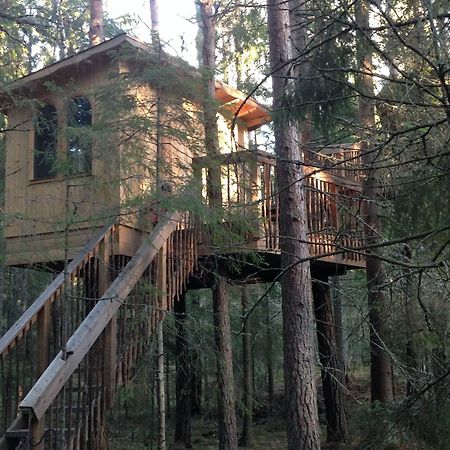 Urnatur Eco Treehouse Lodge Эдесхёг Экстерьер фото