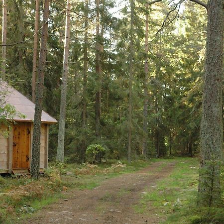Urnatur Eco Treehouse Lodge Эдесхёг Экстерьер фото